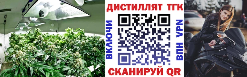 ТГК вейп с тгк  Зеленоградск 
