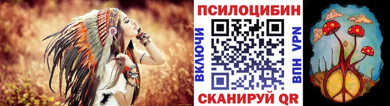 OMG как зайти  Зеленоградск  Псилоцибиновые грибы Cubensis 