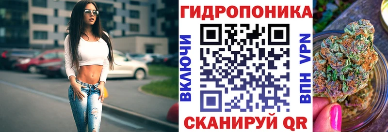 Шишки марихуана индика  Зеленоградск 